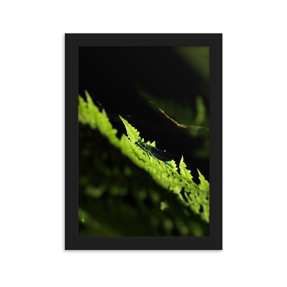Poster mit Rahmen - Grüne Libelle Schwarz / 21×30 cm artlia