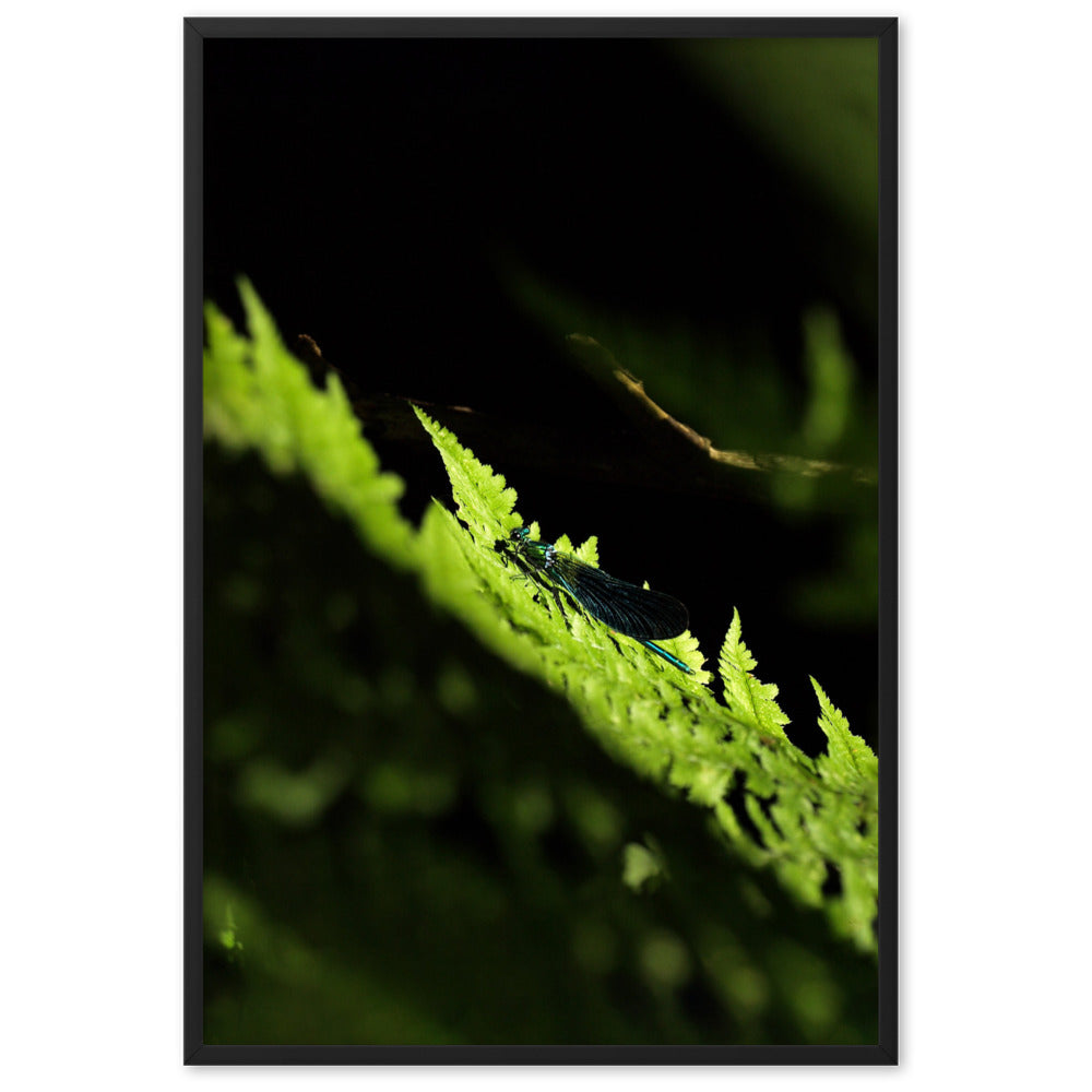 Poster mit Rahmen - Grüne Libelle Schwarz / 61×91 cm artlia