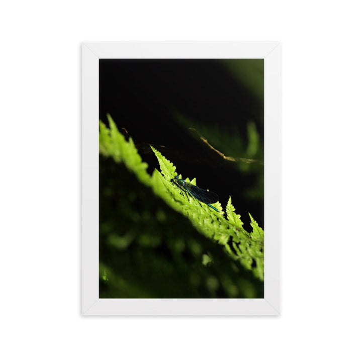 Poster mit Rahmen - Grüne Libelle Weiß / 21×30 cm artlia