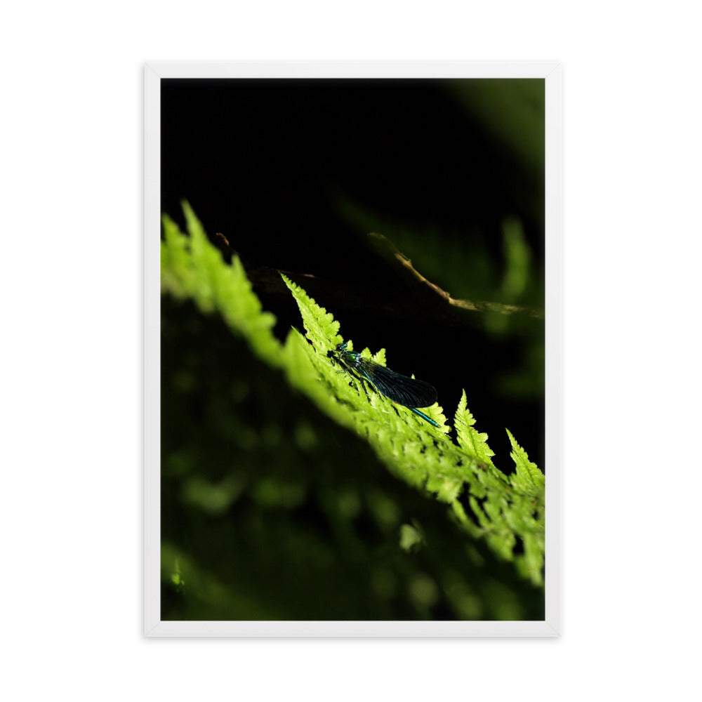 Poster mit Rahmen - Grüne Libelle Weiß / 50×70 cm artlia