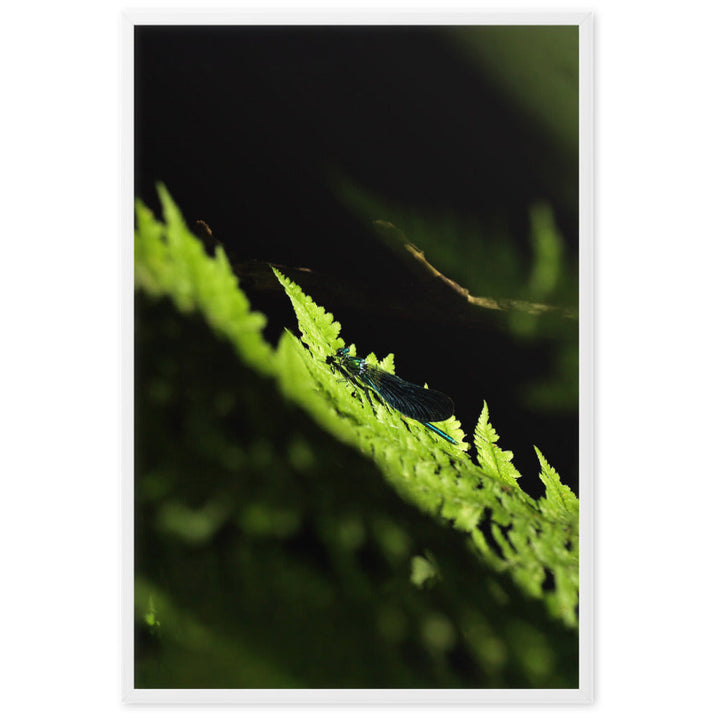 Poster mit Rahmen - Grüne Libelle Weiß / 61×91 cm artlia