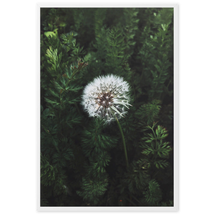 Poster - Pusteblume artlia