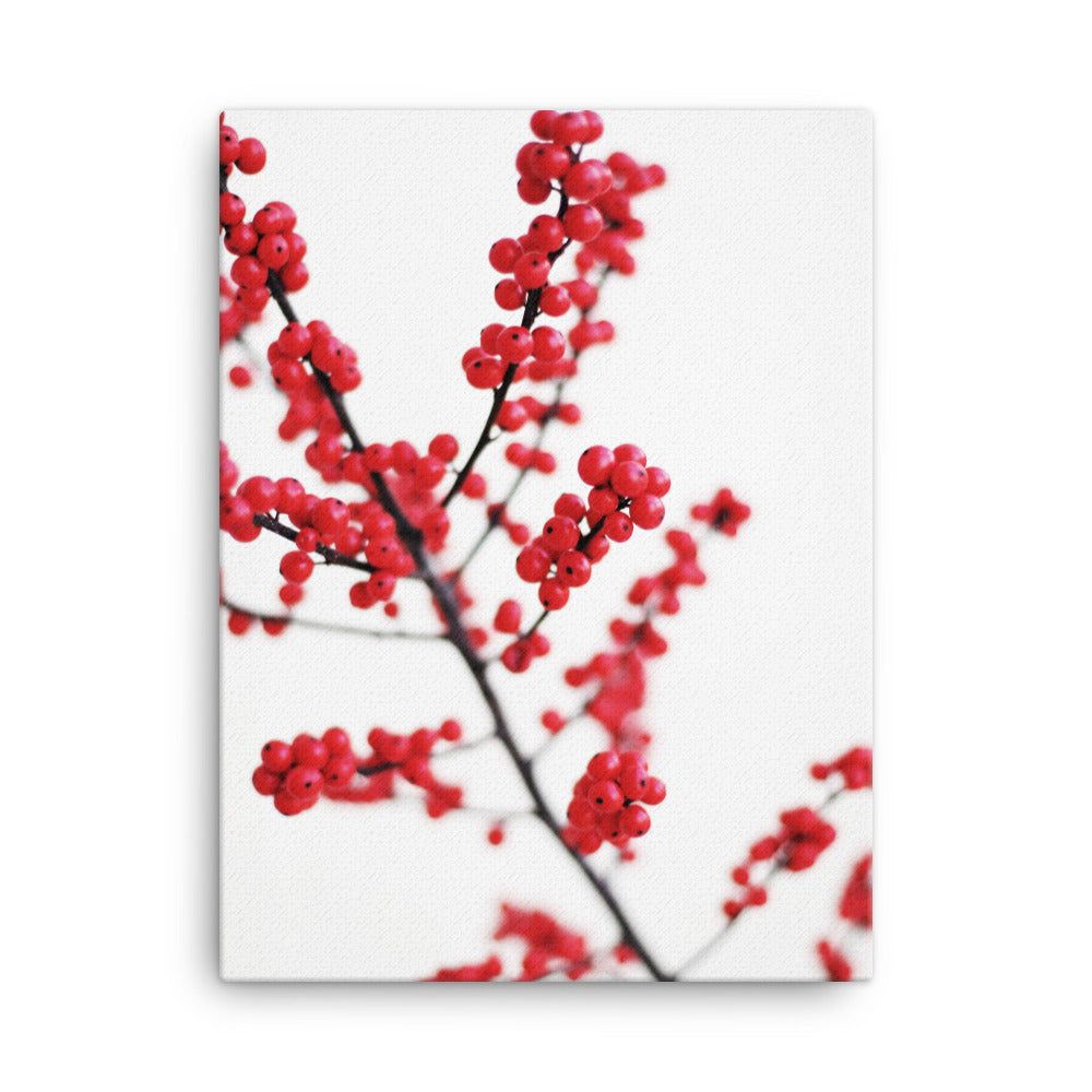 Red Berries - Leinwand 30x41 cm artlia