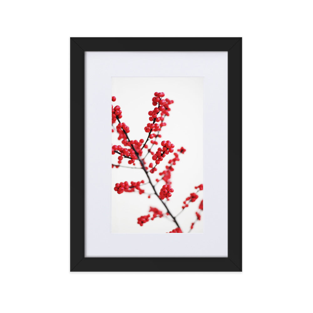 Red Berries - Poster im Rahmen mit Passepartout Schwarz / 21×30 cm artlia