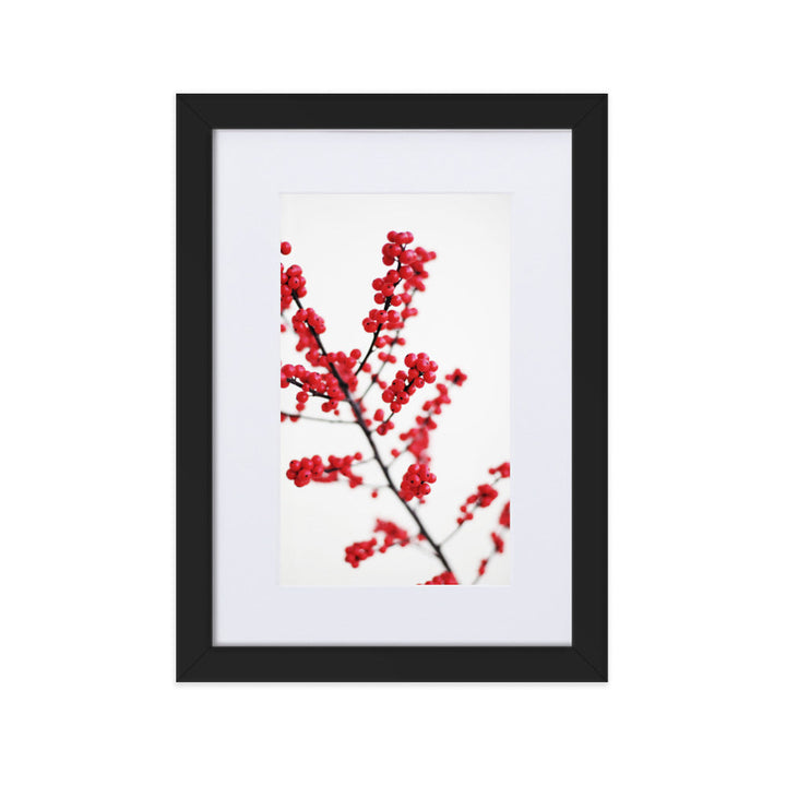Red Berries - Poster im Rahmen mit Passepartout Schwarz / 21×30 cm artlia