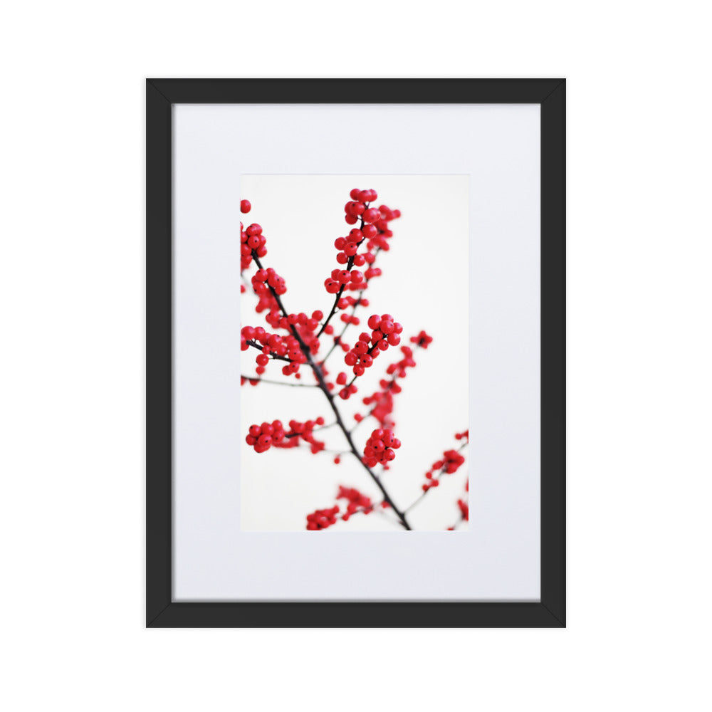 Red Berries - Poster im Rahmen mit Passepartout Schwarz / 30×40 cm artlia