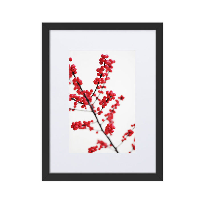 Red Berries - Poster im Rahmen mit Passepartout Schwarz / 30×40 cm artlia