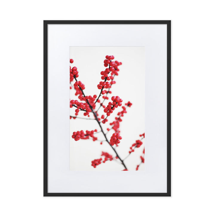 Red Berries - Poster im Rahmen mit Passepartout Schwarz / 50×70 cm artlia