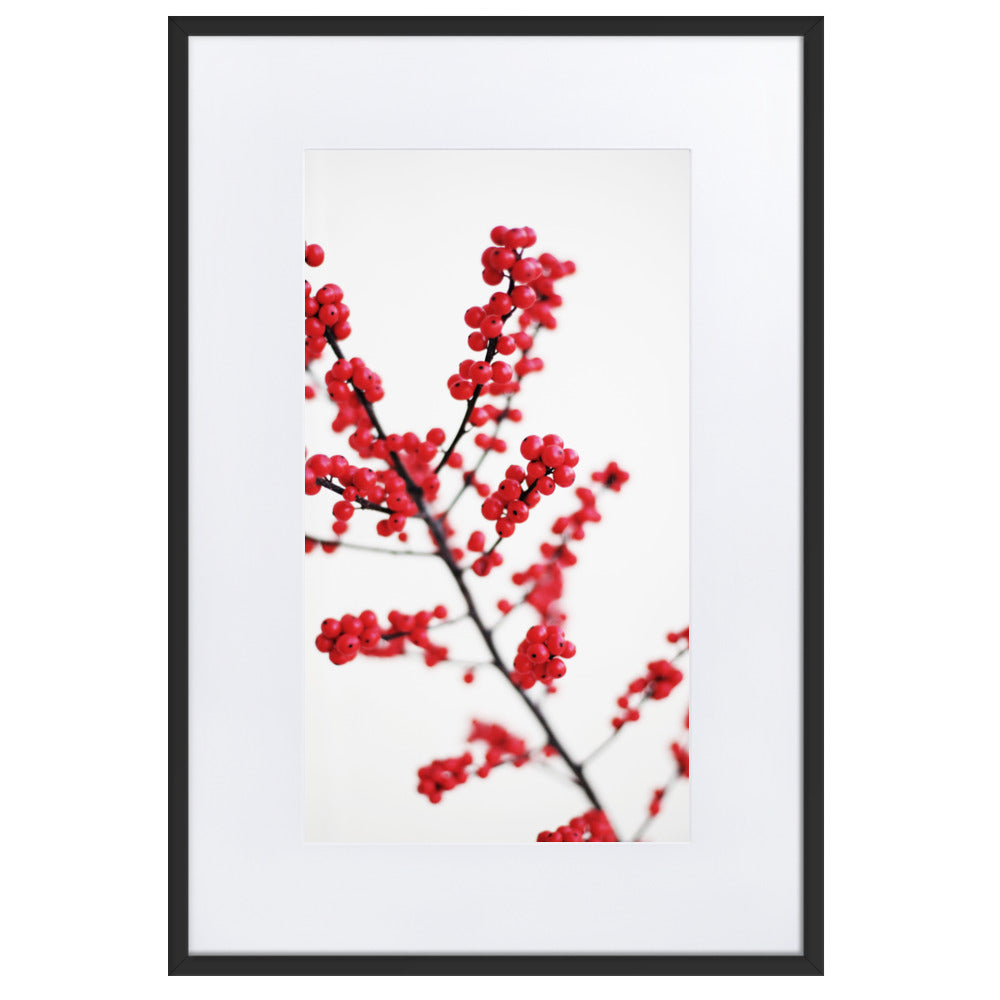 Red Berries - Poster im Rahmen mit Passepartout Schwarz / 61×91 cm artlia