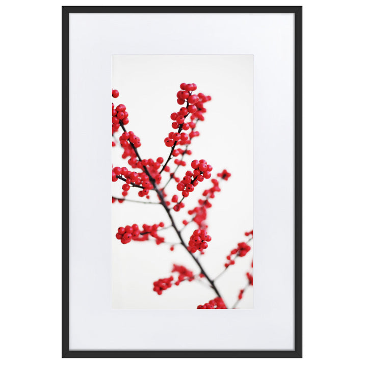 Red Berries - Poster im Rahmen mit Passepartout Schwarz / 61×91 cm artlia