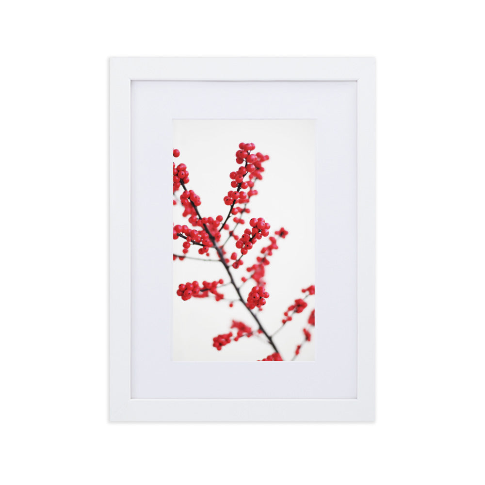 Red Berries - Poster im Rahmen mit Passepartout Weiß / 21×30 cm artlia
