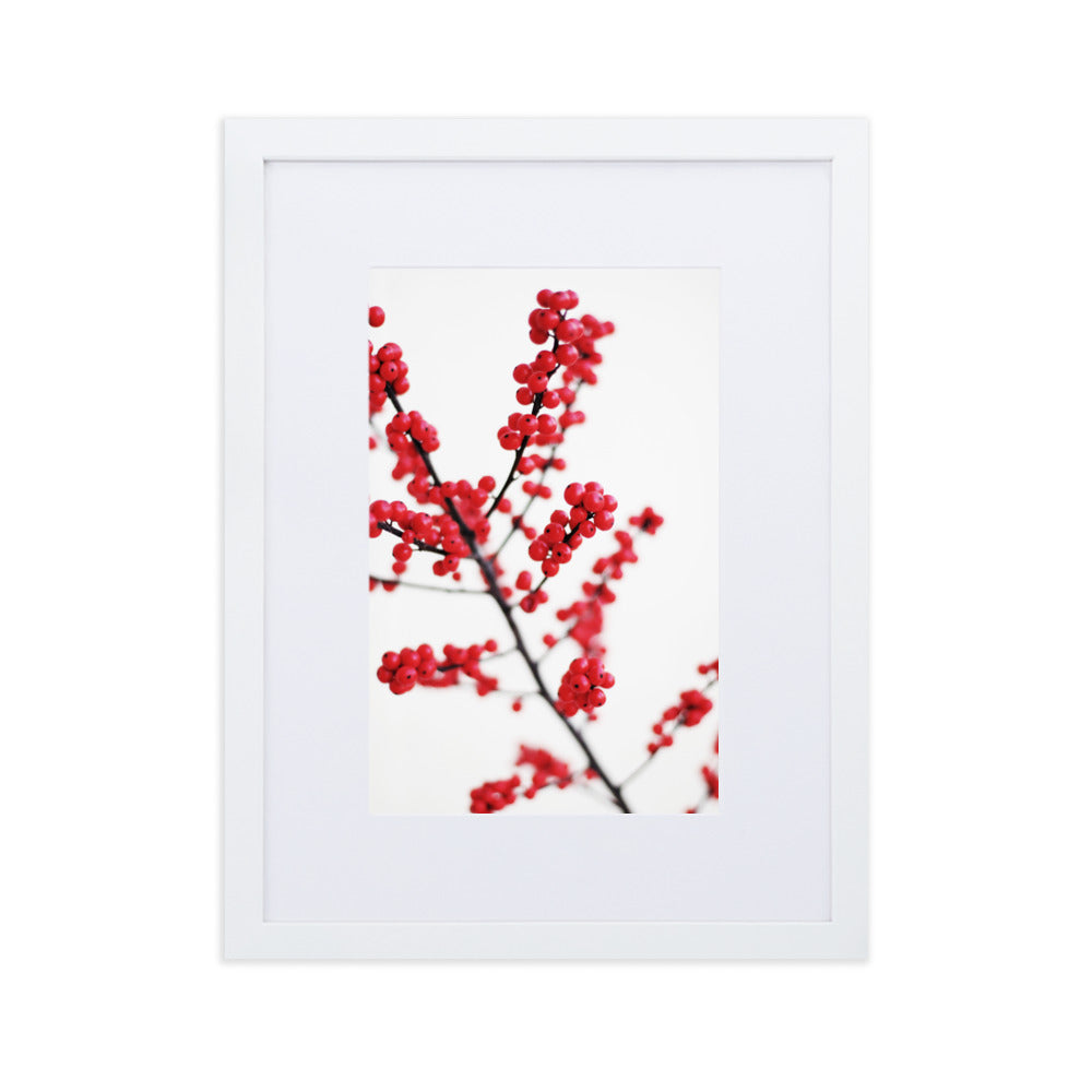 Red Berries - Poster im Rahmen mit Passepartout Weiß / 30×40 cm artlia