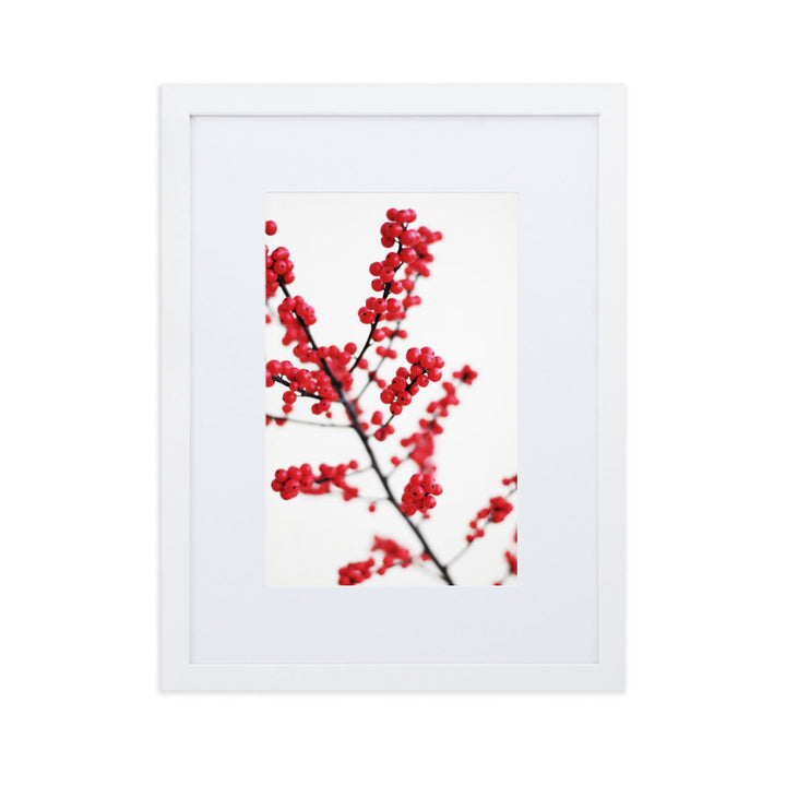 Red Berries - Poster im Rahmen mit Passepartout Weiß / 30×40 cm artlia