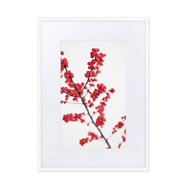 Red Berries - Poster im Rahmen mit Passepartout Weiß / 50×70 cm artlia