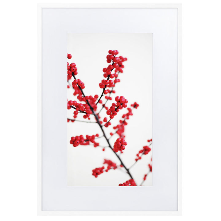 Red Berries - Poster im Rahmen mit Passepartout Weiß / 61×91 cm artlia