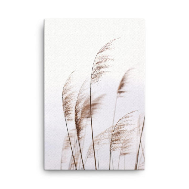 Schilf Reeds 01 - Leinwand 61x91 cm artlia