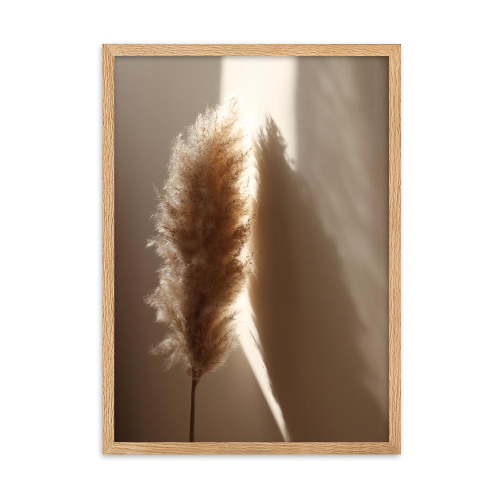 Schilf Reeds 02 - Poster im Rahmen Oak / 50×70 cm artlia