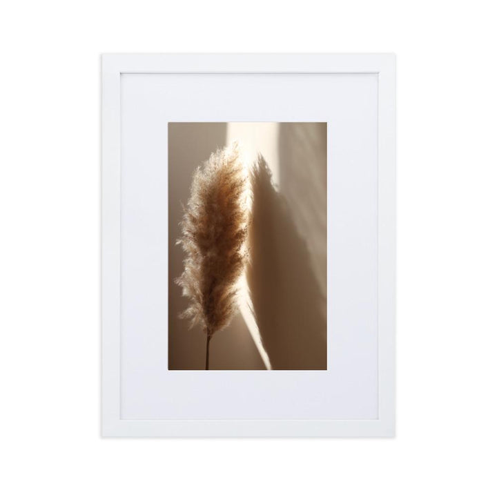 Schilf Reeds 02 - Poster im Rahmen mit Passepartout Weiß / 30×40 cm artlia
