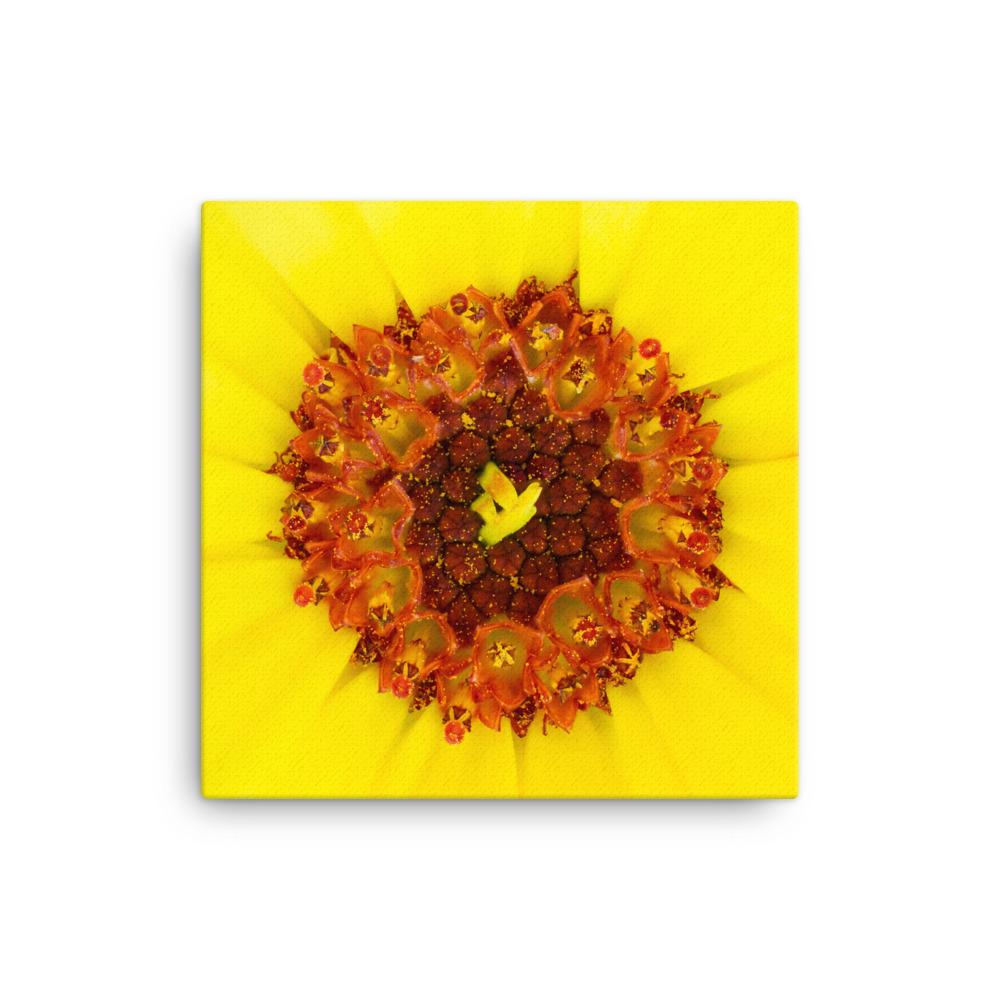 Ringelblume - Leinwand 30x30 cm artlia