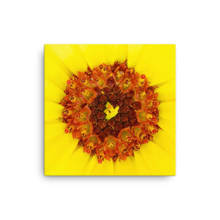 Ringelblume - Leinwand 30x30 cm artlia