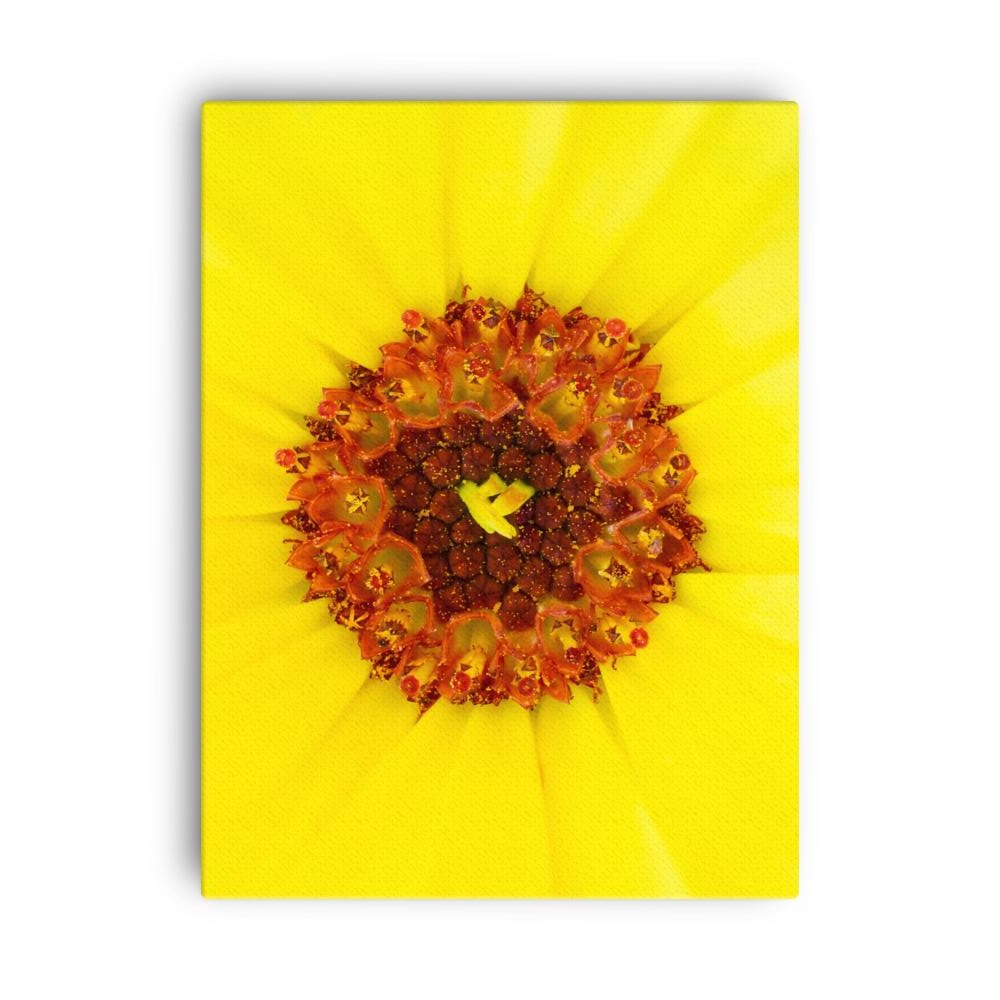 Ringelblume - Leinwand 46x61 cm artlia
