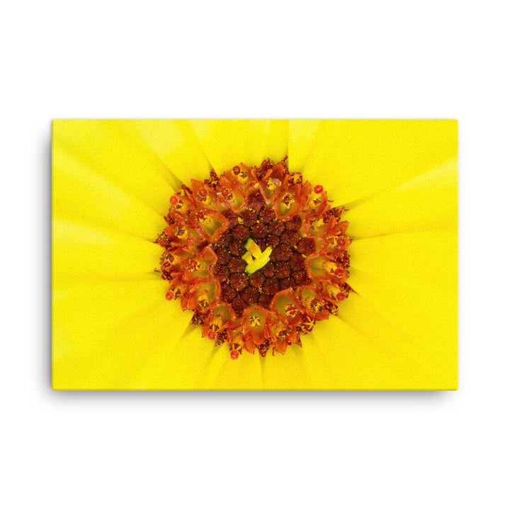 Ringelblume - Leinwand artlia
