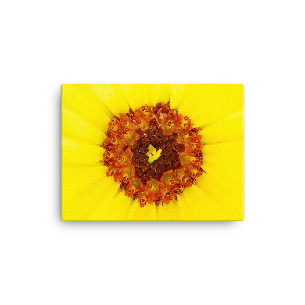 Ringelblume - Leinwand 30x41 cm artlia