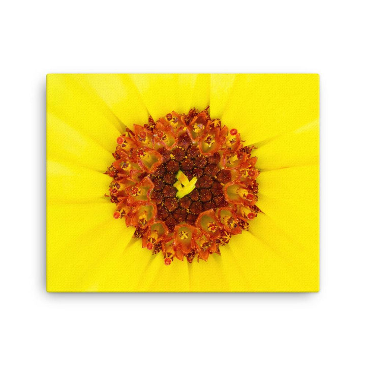 Ringelblume - Leinwand 41x51 cm artlia