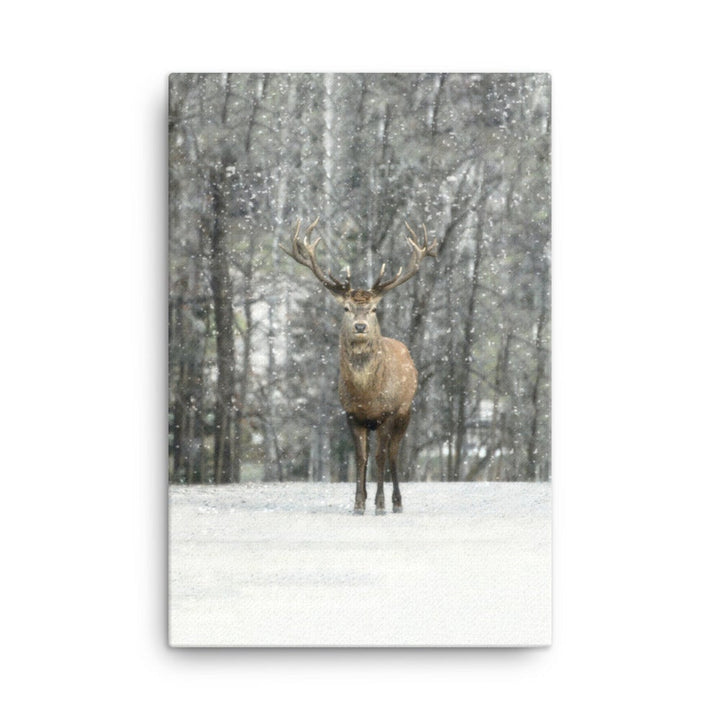 Rotwild im Schnee - Leinwand 61x91 cm artlia