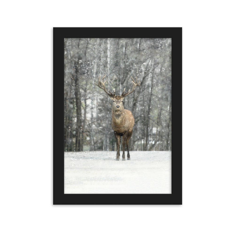Rotwild im Schnee - Poster im Rahmen Schwarz / 21×30 cm artlia