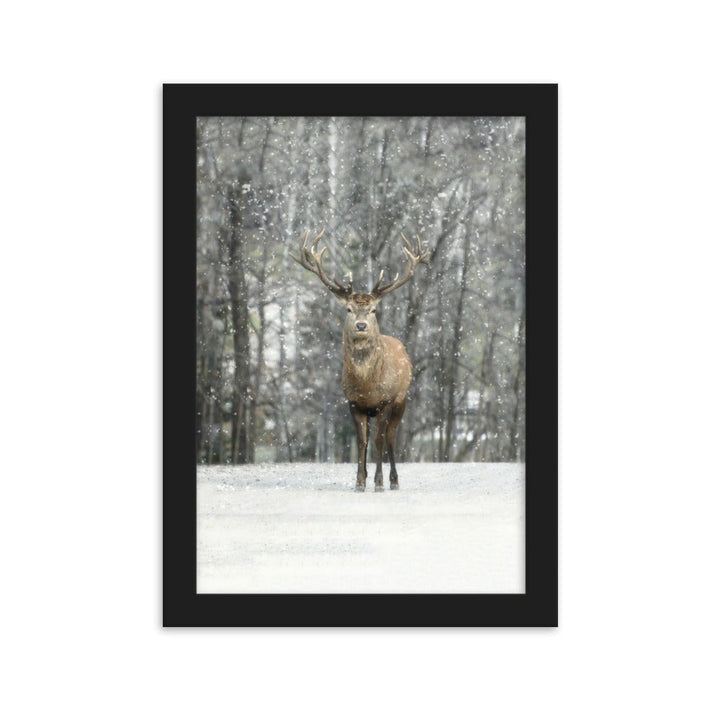 Rotwild im Schnee - Poster im Rahmen Schwarz / 21×30 cm artlia