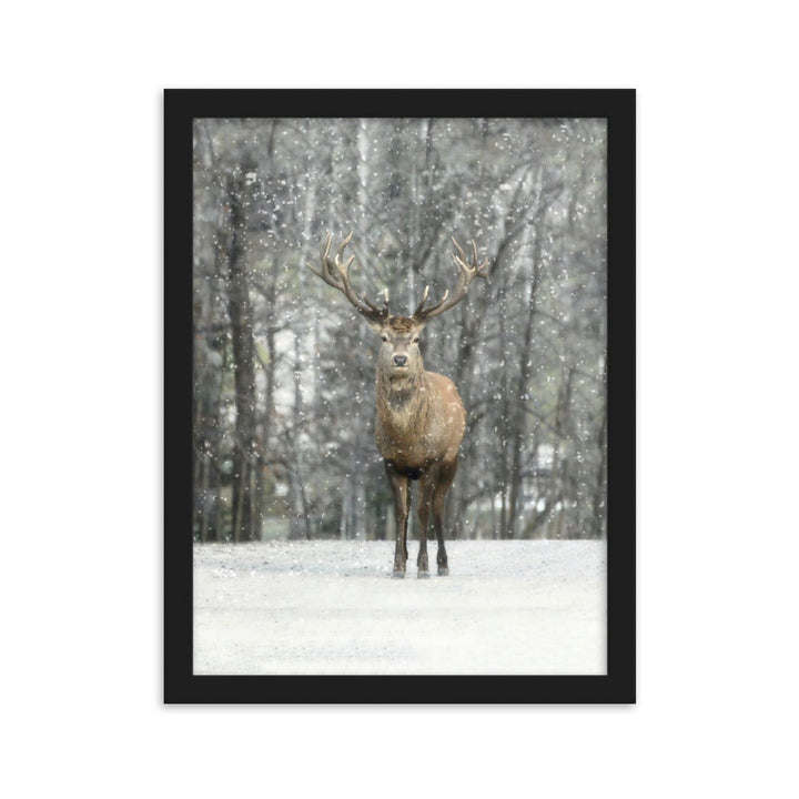 Rotwild im Schnee - Poster im Rahmen Schwarz / 30×40 cm artlia