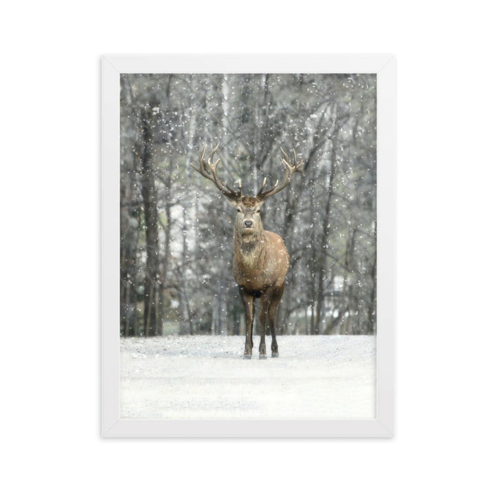 Rotwild im Schnee - Poster im Rahmen Weiß / 30×40 cm artlia