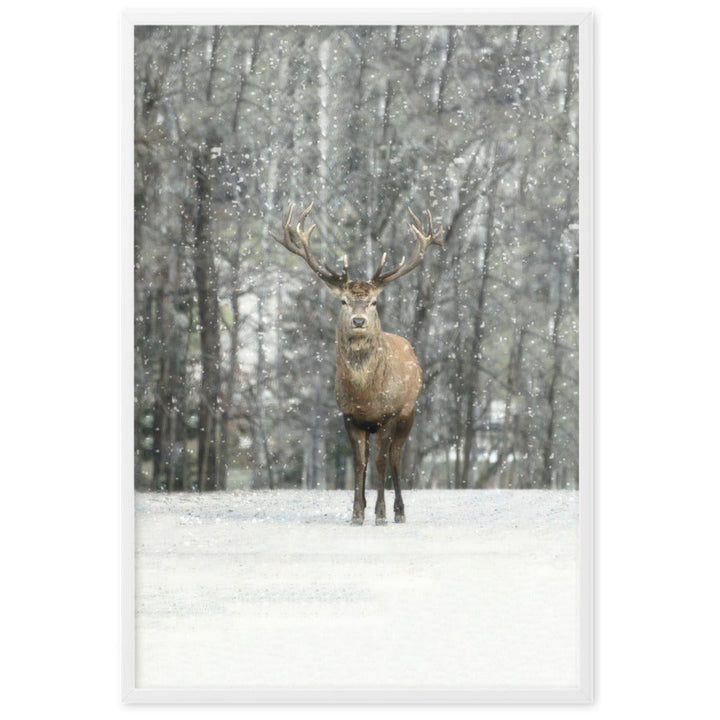 Rotwild im Schnee - Poster im Rahmen Weiß / 61×91 cm artlia
