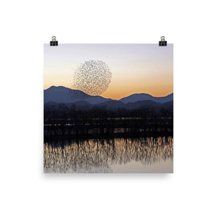 Sonnenuntergang im Junam-Wasserreservoir - Poster 25x25 cm artlia