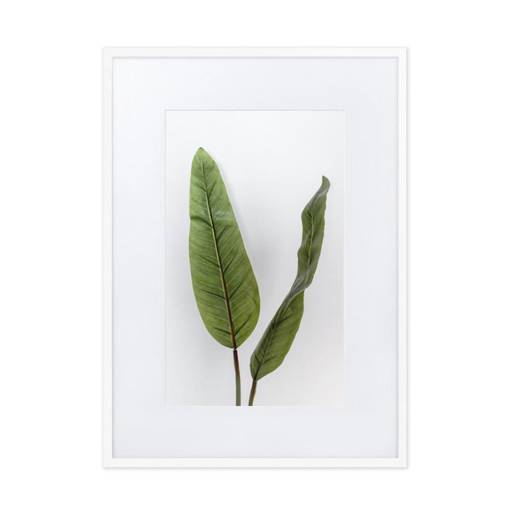 Tropical Leaves - Poster im Rahmen mit Passepartout weiß / 50×70 cm artlia