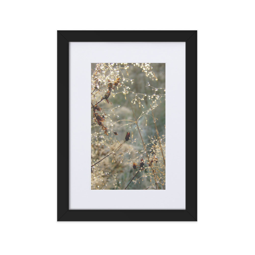 Winter Dews - Poster im Rahmen mit Passepartout Schwarz / 21×30 cm artlia