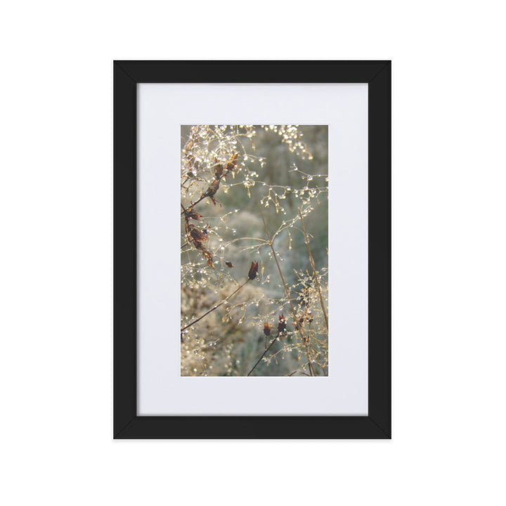 Winter Dews - Poster im Rahmen mit Passepartout Schwarz / 21×30 cm artlia
