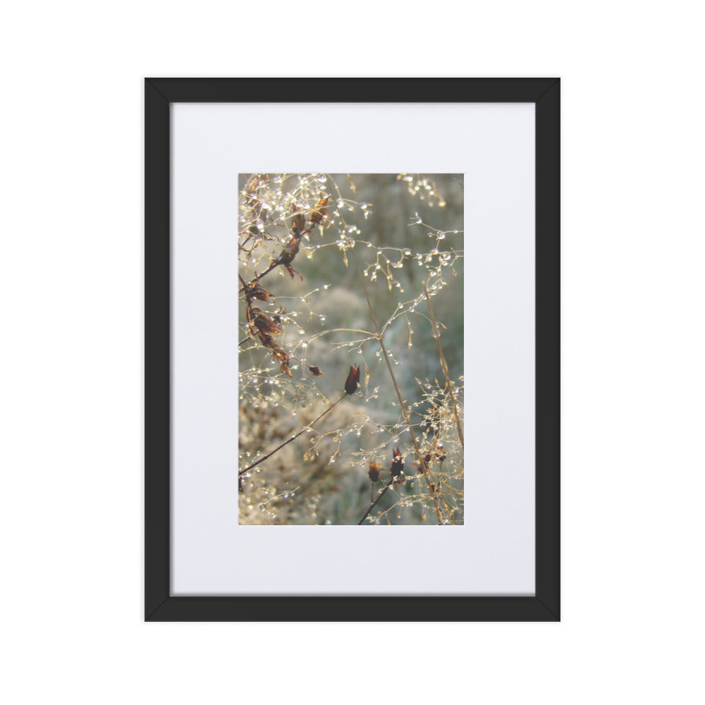 Winter Dews - Poster im Rahmen mit Passepartout Schwarz / 30×40 cm artlia