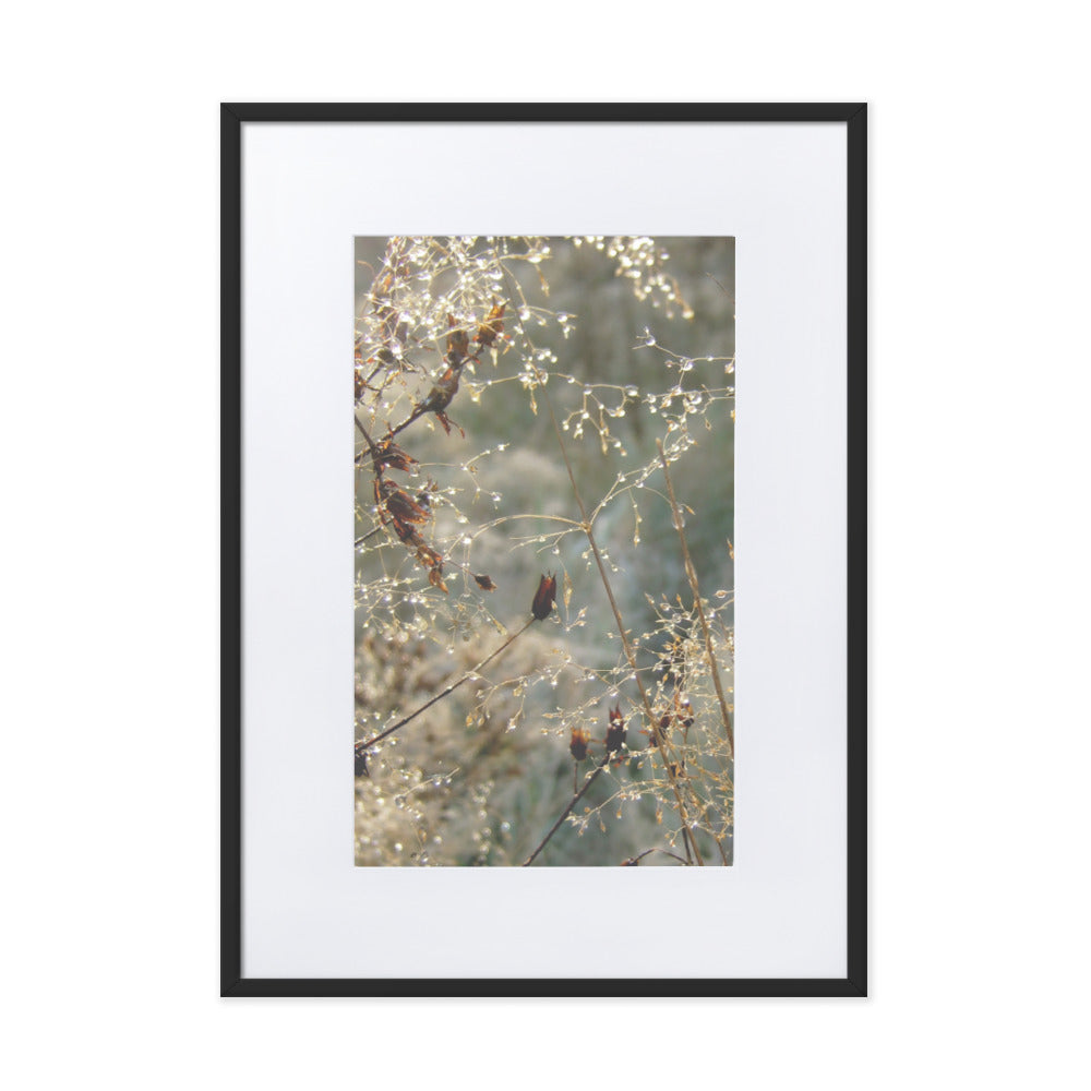 Winter Dews - Poster im Rahmen mit Passepartout Schwarz / 50×70 cm artlia