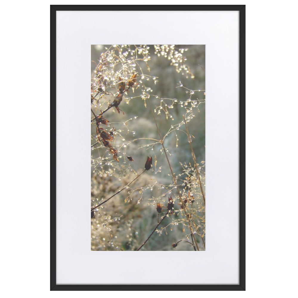 Winter Dews - Poster im Rahmen mit Passepartout Schwarz / 61×91 cm artlia
