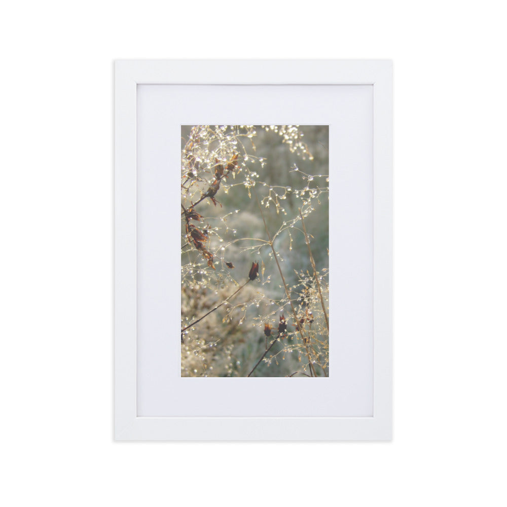 Winter Dews - Poster im Rahmen mit Passepartout Weiß / 21×30 cm artlia