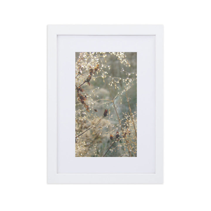 Winter Dews - Poster im Rahmen mit Passepartout Weiß / 21×30 cm artlia