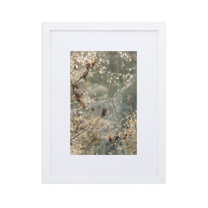 Winter Dews - Poster im Rahmen mit Passepartout Weiß / 30×40 cm artlia