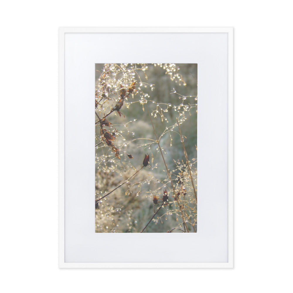 Winter Dews - Poster im Rahmen mit Passepartout Weiß / 50×70 cm artlia