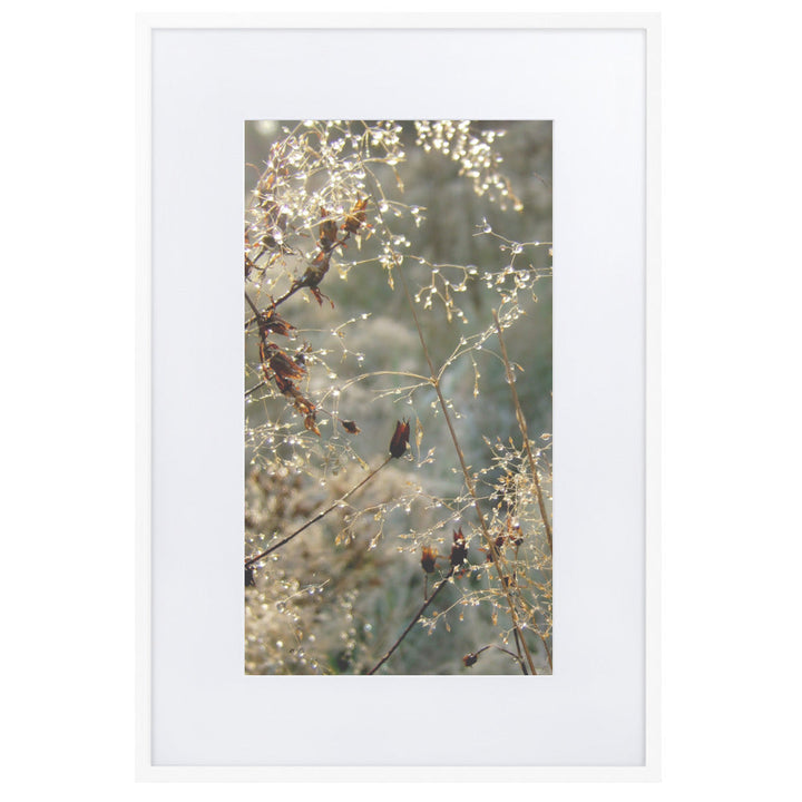 Winter Dews - Poster im Rahmen mit Passepartout Weiß / 61×91 cm artlia