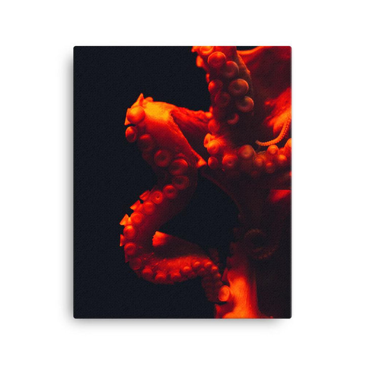 Wütender Oktopus - Leinwand 41x51 cm artlia