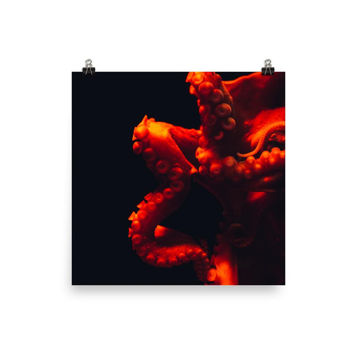 Poster - Wütender Oktopus 25x25 cm artlia