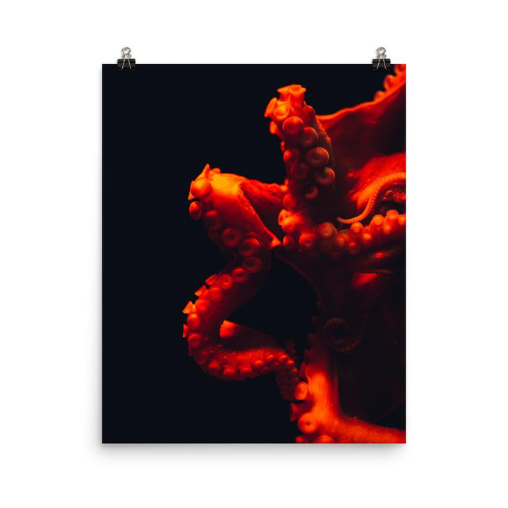 Poster - Wütender Oktopus 20x25 cm artlia