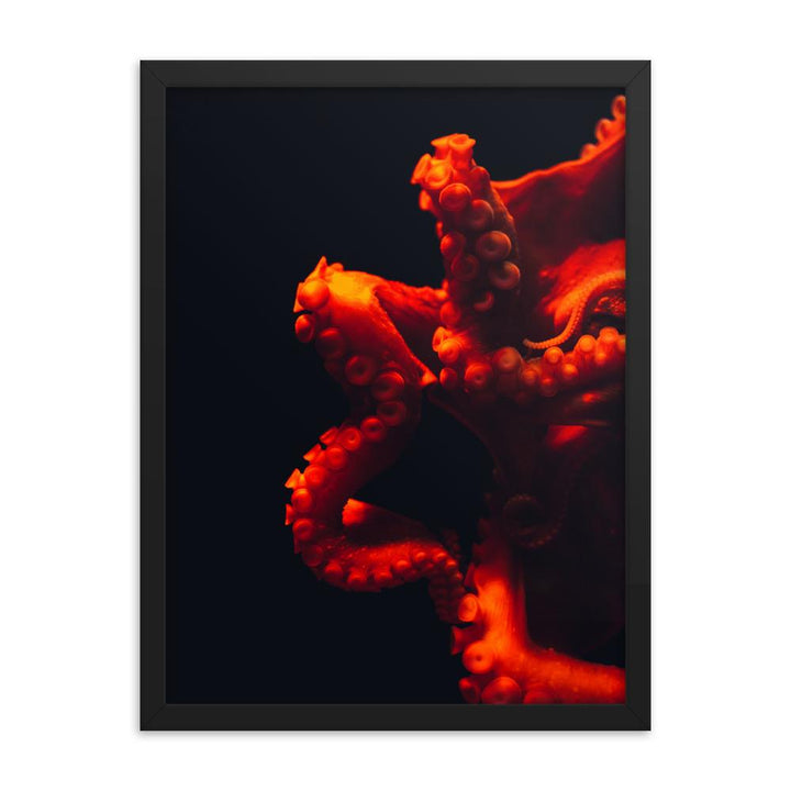 Wütender Oktopus - Poster im Rahmen schwarz / 30x41 cm artlia